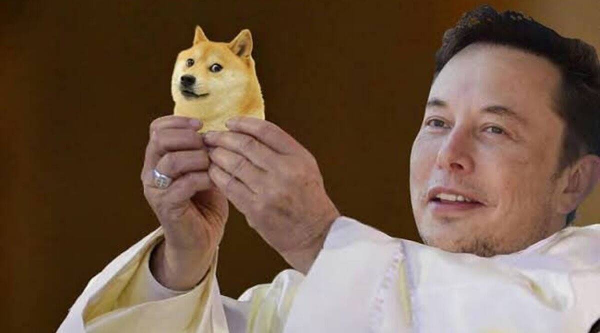 Dogecoin cryptocurrency and Elon Musk