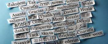 Website Language and Localisation