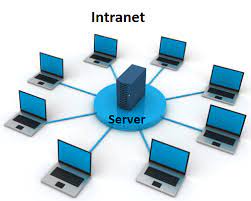 Best Intranet Softwares and How To Set Up Intranet for companies!