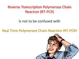 Reverse Transcription Polymerase Chain Reaction (RT-PCR)