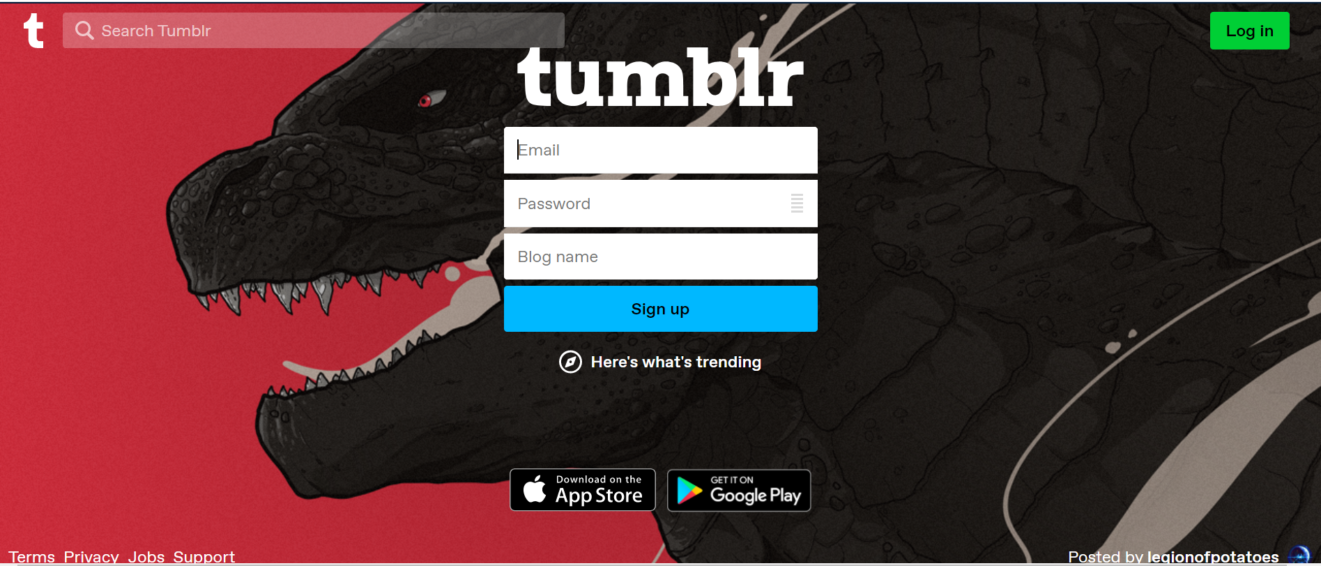 Your Tumblr username is through which your handle will be identified on the platform.